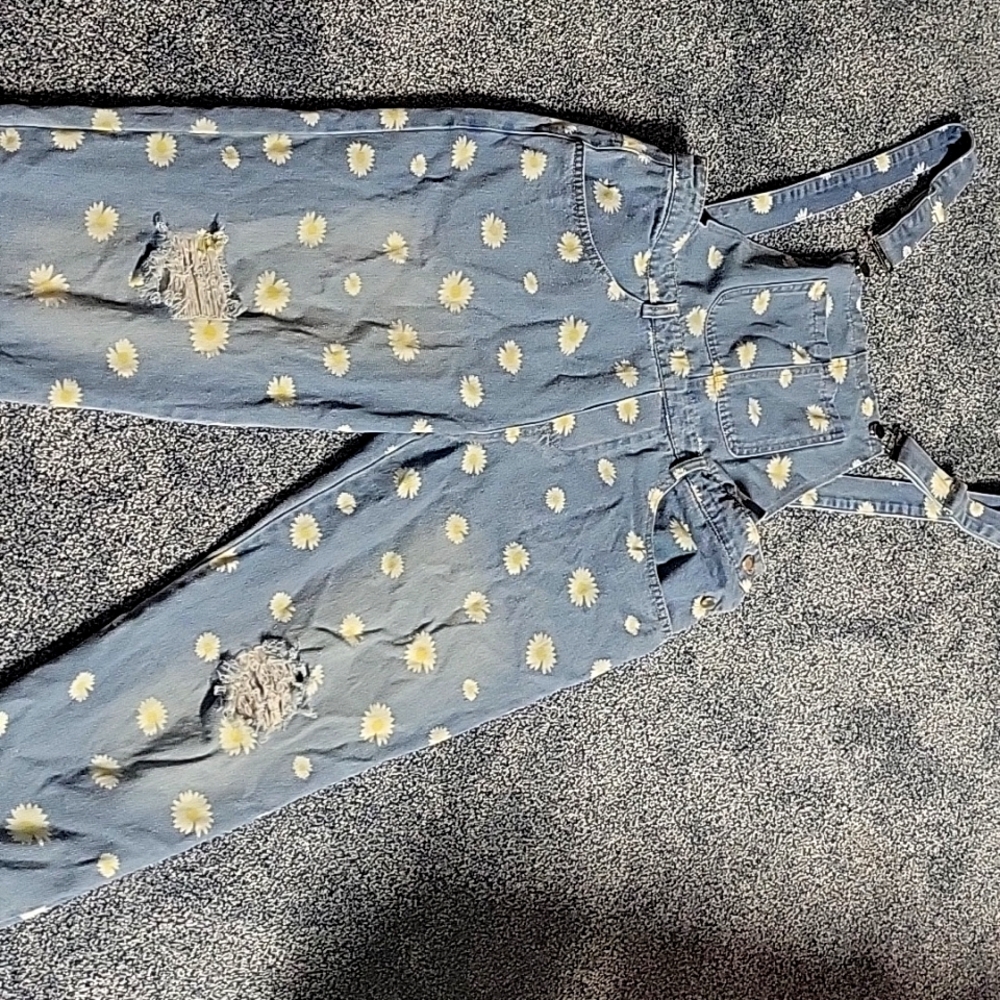 Overalls - Picture 2 of 3